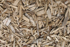 biomass boilers Copmanthorpe
